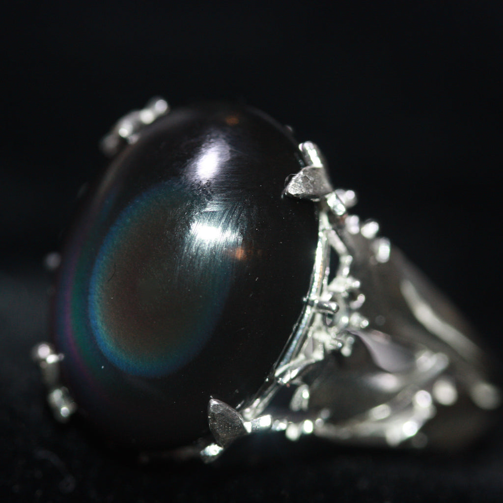 The Cosmos Salad Ring